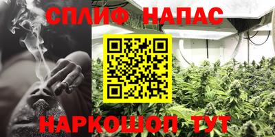 дурь Будённовск