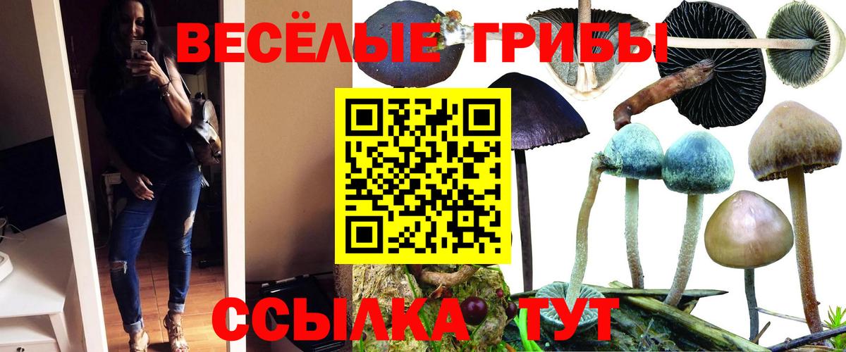 Псилоцибиновые грибы Psilocybine cubensis  Вход с VPN  Петровск  Псилоцибиновые грибы ЛСД 